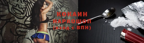 шишки Ессентукская
