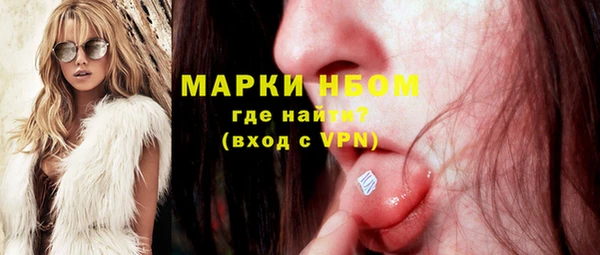 шишки Ессентукская
