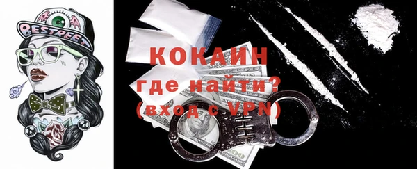 шишки Ессентукская
