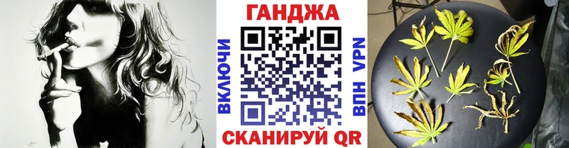 Марихуана план  Купить закладки  Бородино 